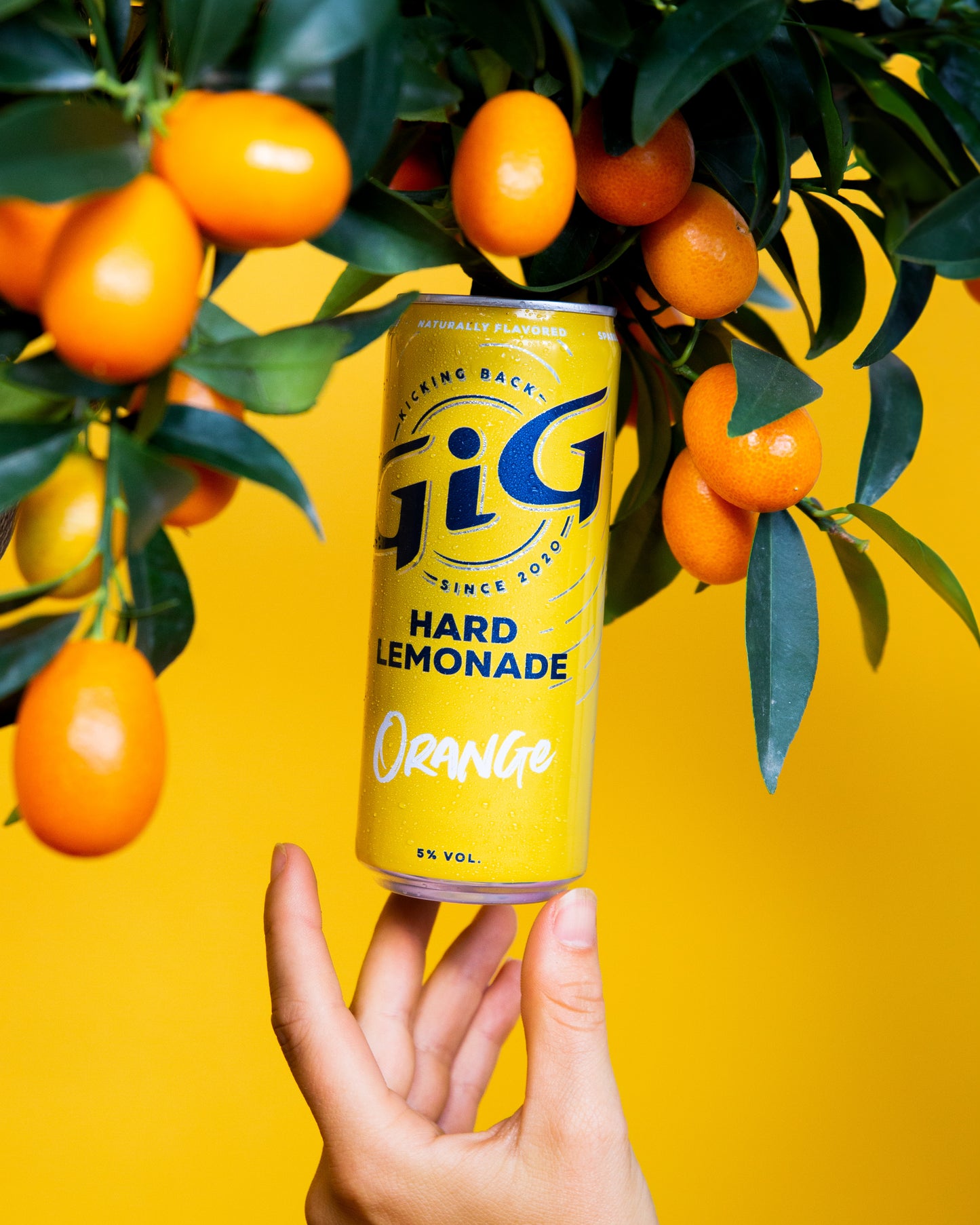 GiG HARD LEMONADE ORANGE 24-PACK